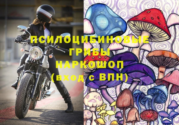 первитин Абинск